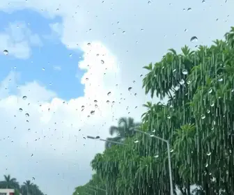 previsão do tempo em São Bernardo do Campo
