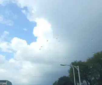 previsão do tempo em São Bernardo do Campo