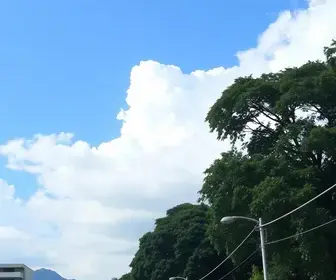 previsão do tempo